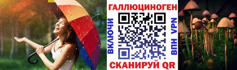 Псилоцибиновые грибы мухоморы  нарко площадка какой сайт  Северская 