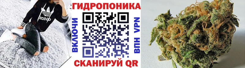 что такое   Северская  Шишки марихуана SATIVA & INDICA 